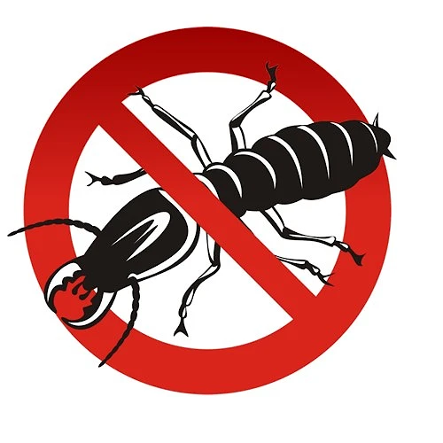 Termite Control Services in Lahore: Safeguarding Your Home from Destructive Pests