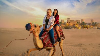 Dubai Desert Safari Tickets: Delighting Adventure Seekers - Reviews and Opinions