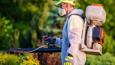 Fumigation Services in Islamabad