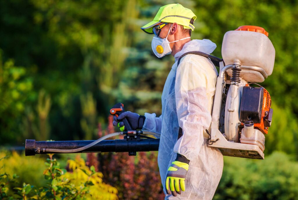 Fumigation Services in Islamabad: Ensuring a Safe and Pest-Free Environment