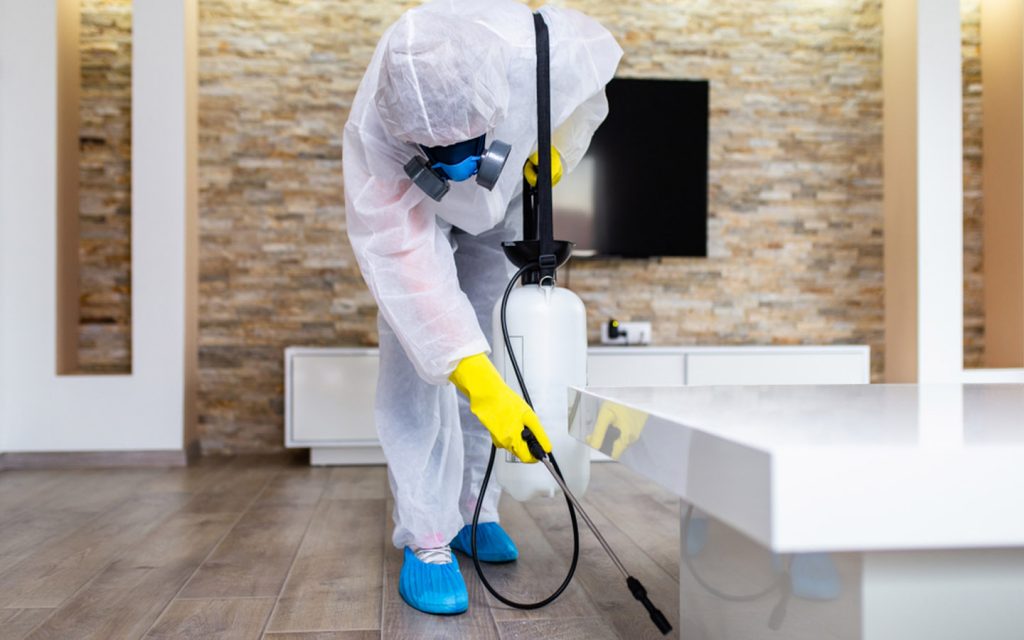 Effective Pest Control Abu Dhabi: Keeping Your Environment Safe and Pest-Free