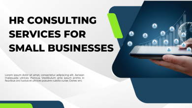 HR Consulting Services for Small Businesses