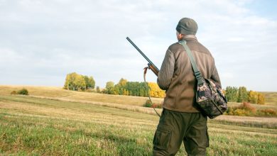 Specifics of hunting clothing stores and the convenience of working with them for hunters.