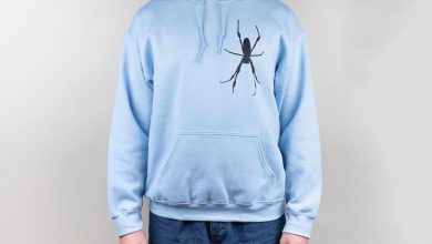 Spider Hoodie