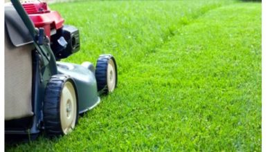 Why Should You Hire a Professional Lawn Care Service