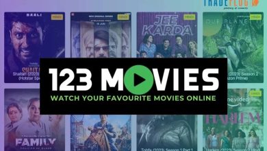 How to Download Movies from 123 Movies Safely