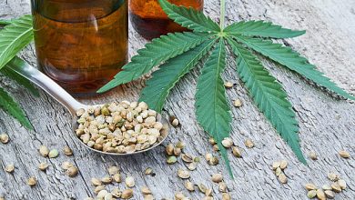 Are There Any Medical Differences Between CBD and THC?