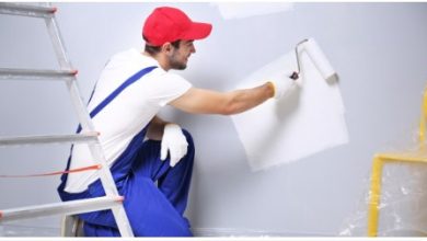 Get the Best Local Painters Near Me for Home Projects