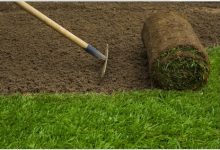 How Can Sod Installation Companies Improve Your Landscape