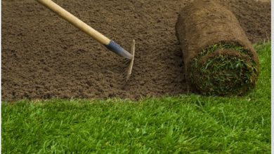 How Can Sod Installation Companies Improve Your Landscape