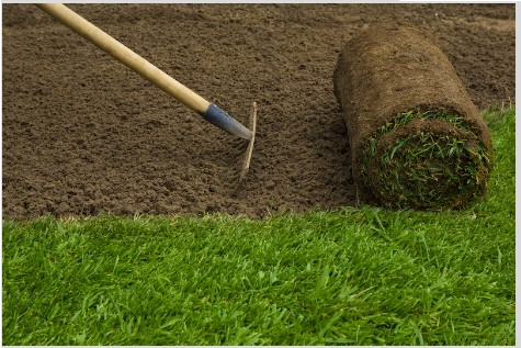 How Can Sod Installation Companies Improve Your Landscape