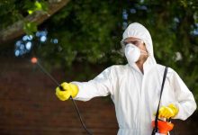 Seasonal Pest Control Tips for Schenectady, NY Residents