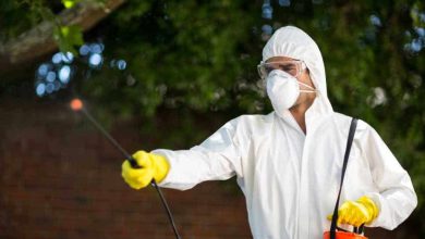 Seasonal Pest Control Tips for Schenectady, NY Residents