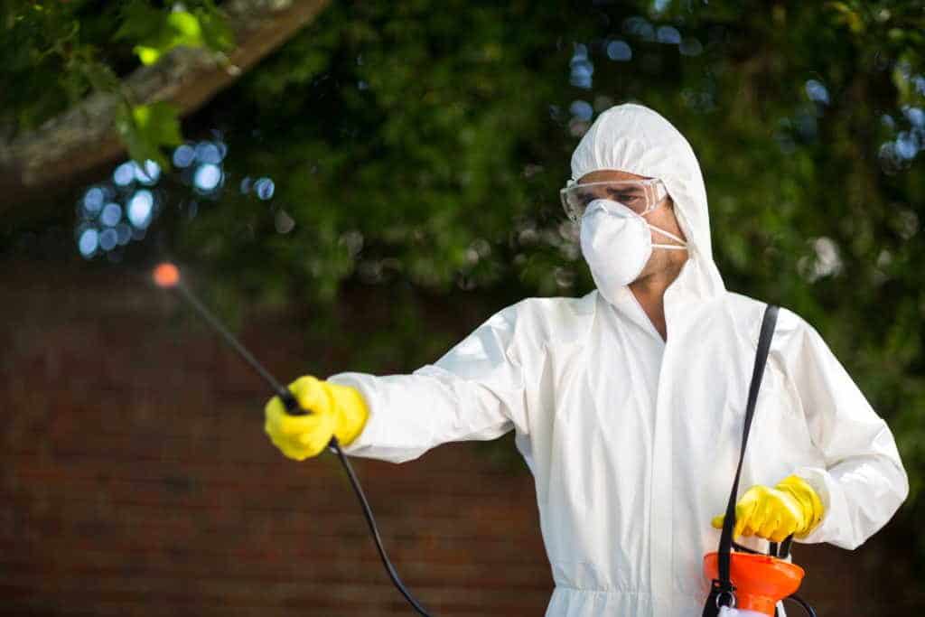 Seasonal Pest Control Tips for Schenectady, NY Residents