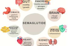 The Role of Semaglutide in Treating Metabolic Syndrome