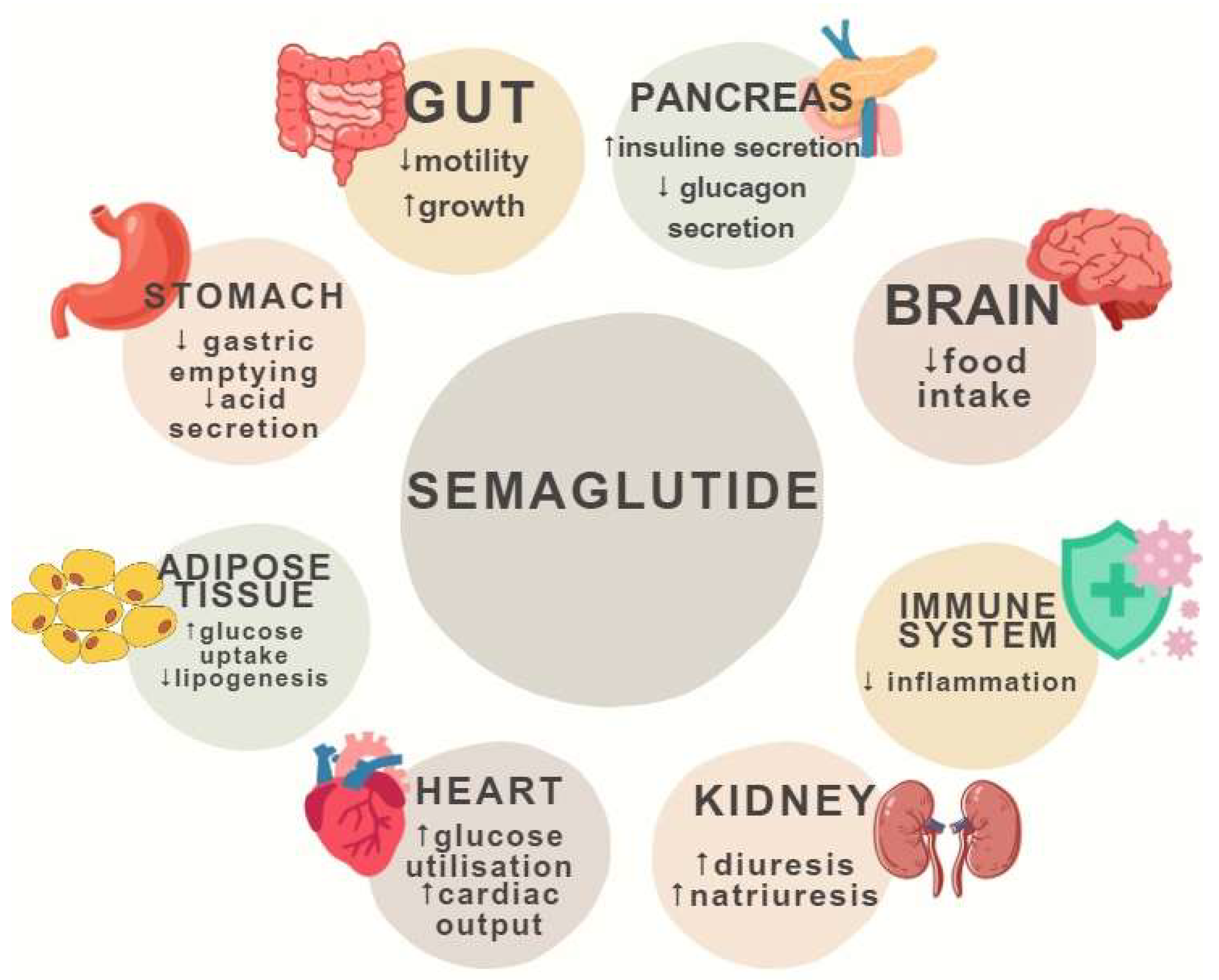 The Role of Semaglutide in Treating Metabolic Syndrome